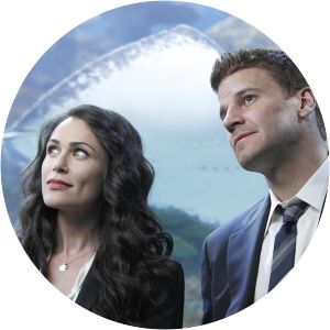 Bones The Predator in the Pool