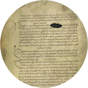Book of Fenagh - Book by Muirgheas mac Pháidín Ó Maolconaire