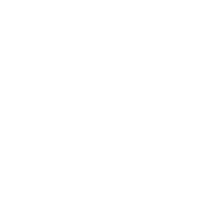 Boone Newspapers, Inc