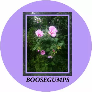 Boosegumps - Musical artist
