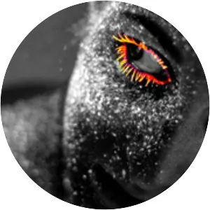 Boral Kibil & Mahmut Orhan