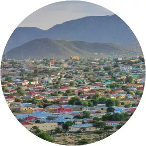 Borama