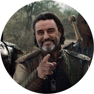 Borch Three Jackdaws