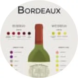 Bordeaux wine photograph