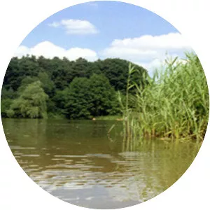 Bordenauer See
