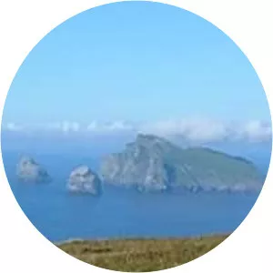 Boreray