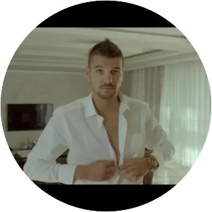 Boris Stjepanovic - Musical artist