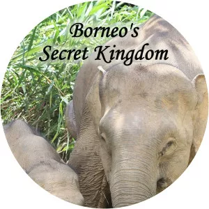 Borneo's Secret Kingdom - TV program