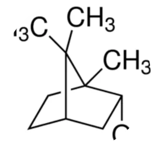 Borneol - Chemical compound