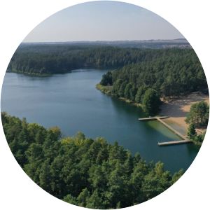 borówno jezioro - Lake in Poland