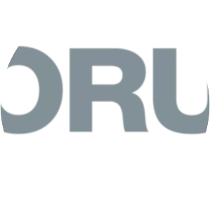 Borusan (Borusan Holding)