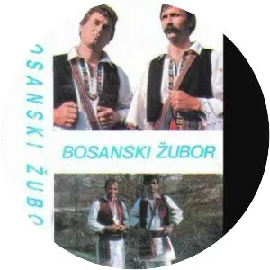 Bosanski Zubor