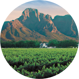 Boschendal