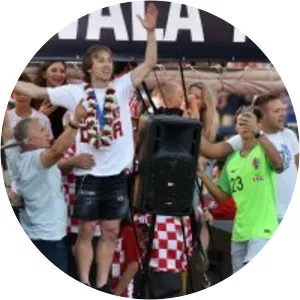 Boško Colić Musician - Musical artist