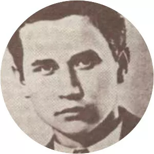 Boško Palkovljević Pinki