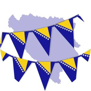 Bosnian-Herzegovinian Patriotic Party