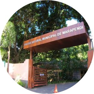 bosque da barra parque natural municipal marapendi