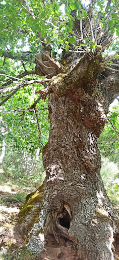 Bosque de Hormas - Hiking area in Spain