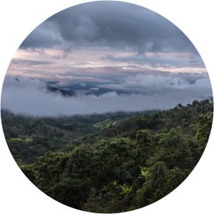 Bosques Nublados de Udima Wildlife Refuge