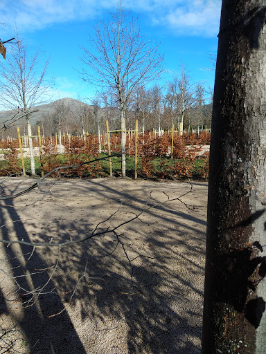 Bosquete de la Canal 