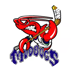Bossier-Shreveport Mudbugs
