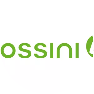 Bossini