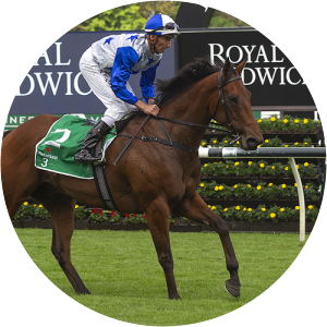 Bostonian photograph