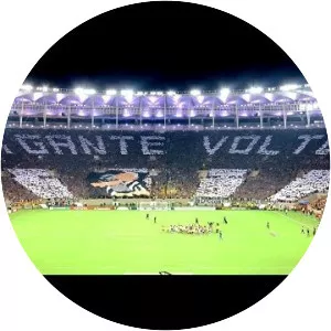 Botafogo de Futebol e Regatas
