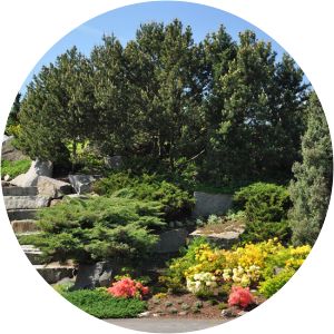 Botanical garden in Łódź