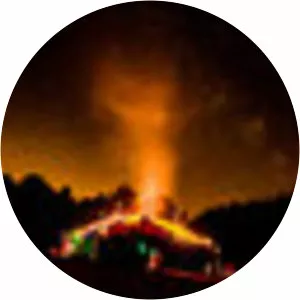 Boudewijn Catry - Researcher