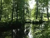 Boulognerskogen - 