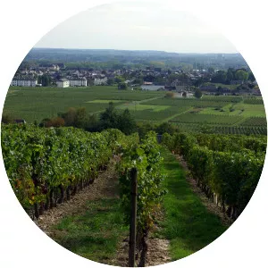 Bourgueil