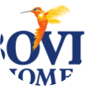 Bovis Homes Group - Company