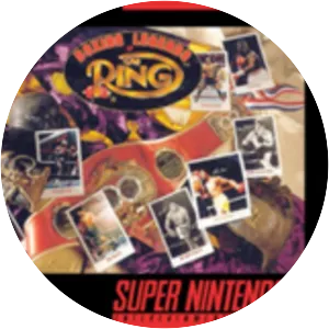 Boxing Legends of the Ring