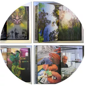 Brad Freeman - Visual artist