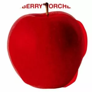 ohashi chippoke bradberry orchestra