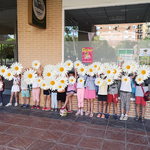 BRADFORD SCHOOL, S.L. - Language school in Coslada, Spain