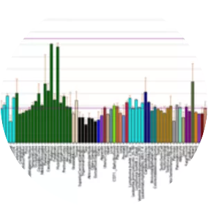 Brain mitochondrial carrier protein 1 - 