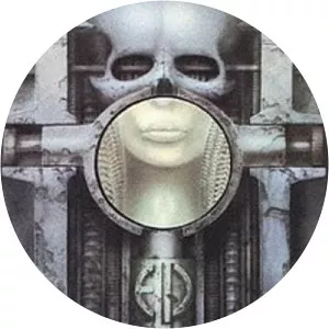 Brain Salad Surgery