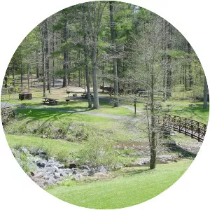 Braley Pond - Pond in Virginia