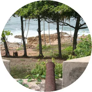 Brandenburger Gold Coast - 