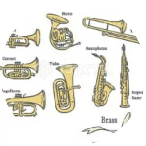 Brass instrument