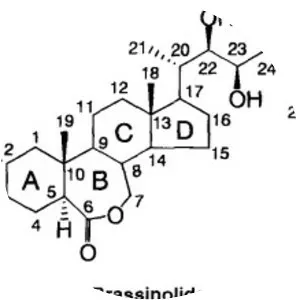 Brassinolide - 