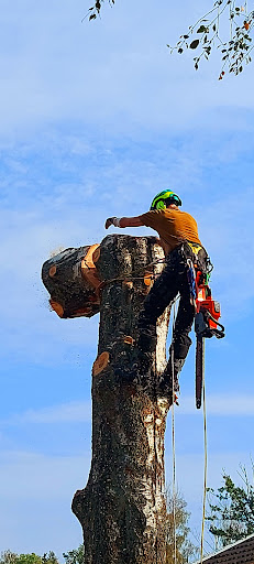 Brattdal as photograph