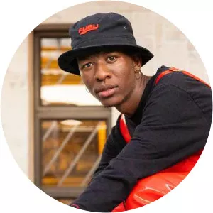 Bravo Le Roux - Musical artist