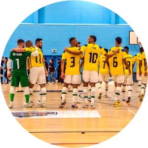 Brazil national futsal team