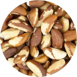 Brazil nut - 