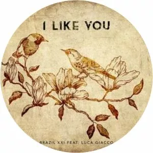 Brazil XXI - Musical artist