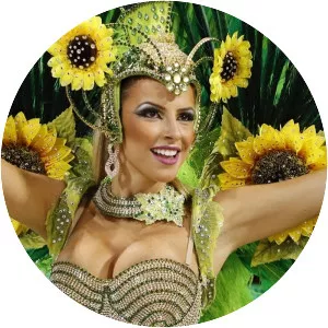 Brazilian Carnival - Brazilian festival