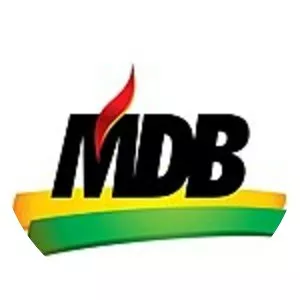 Brazilian Democratic Movement